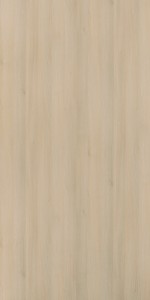 Munich Acacia