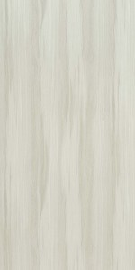 Silver Gum
