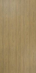Rovigo Elm