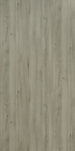 Italian Beech