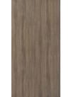 Jakarta Teak